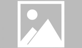 长沙花店吃瓜爆料事件,一场意外的网络热议