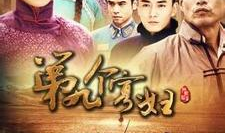 电视剧寡妇的爱情,寡妇的复仇与救赎之旅