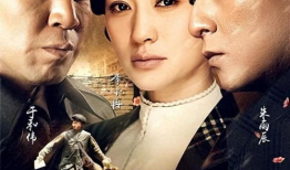 电视剧追击者剧情介绍,生死较量，正义与邪恶的终极对决