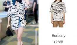 网红与明星私服,揭秘时尚界的私服秘密