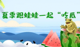 呱呱吃瓜爆料怎么做,呱呱吃瓜爆料背后的真相与内幕