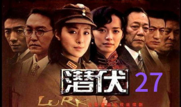 谍战片 电视剧,谍影重重之风云变幻